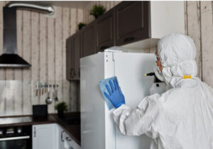 Read more about the article Introducing new ‘COVID normal’ support measures